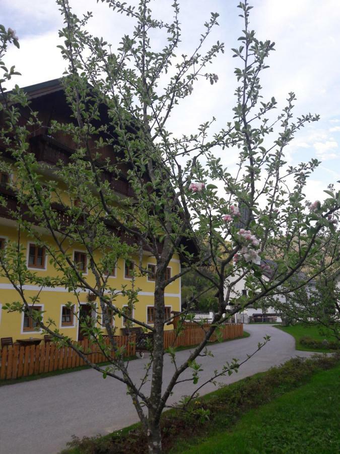 Biobauernhof Hauserbauer Хинтерзее Экстерьер фото